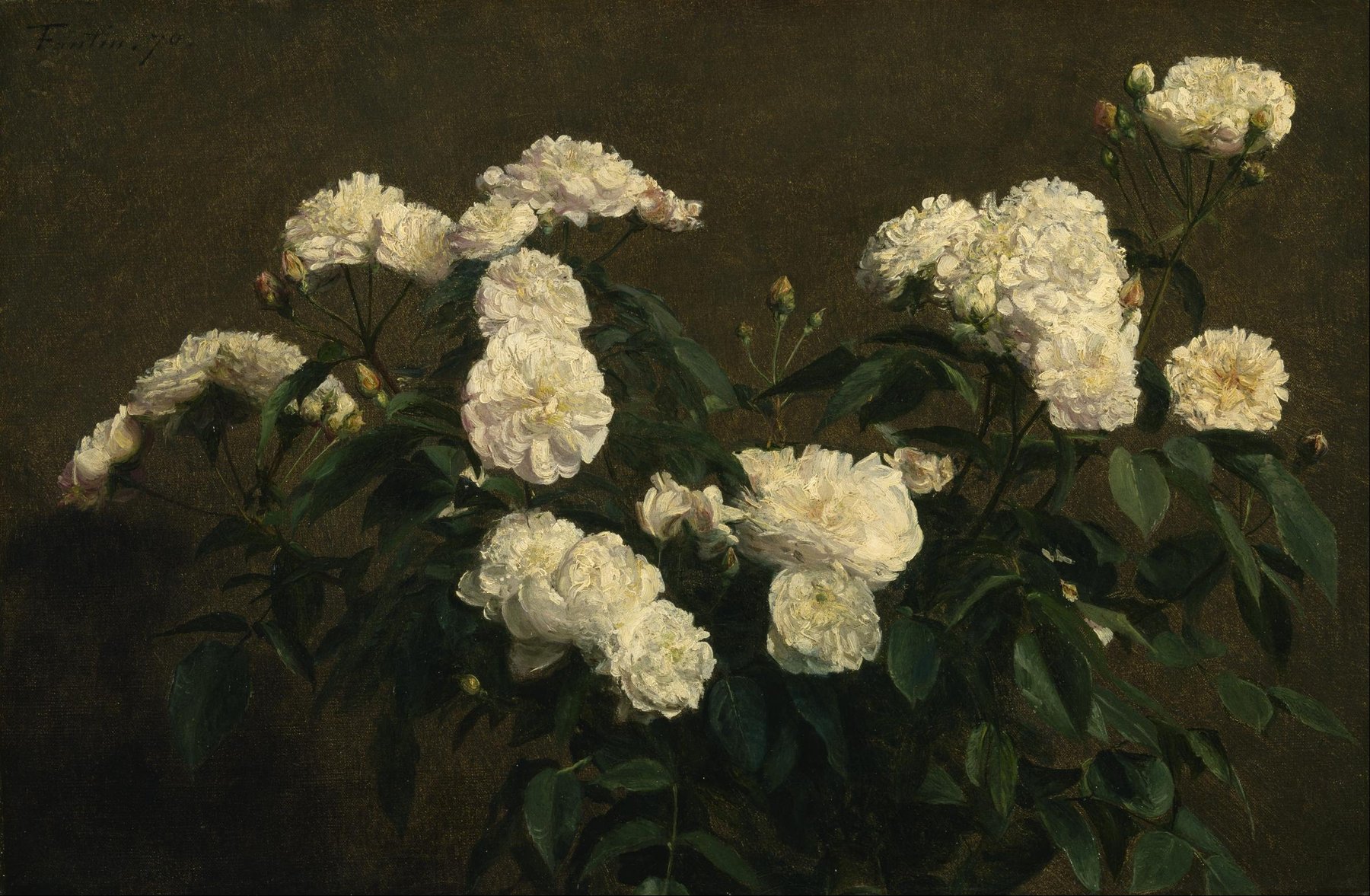 Henri Fantin-Latour's Still Life of White Roses, one of his hundreds of meticulous flower studies that anchored the more conservative wing of the impressionist generation