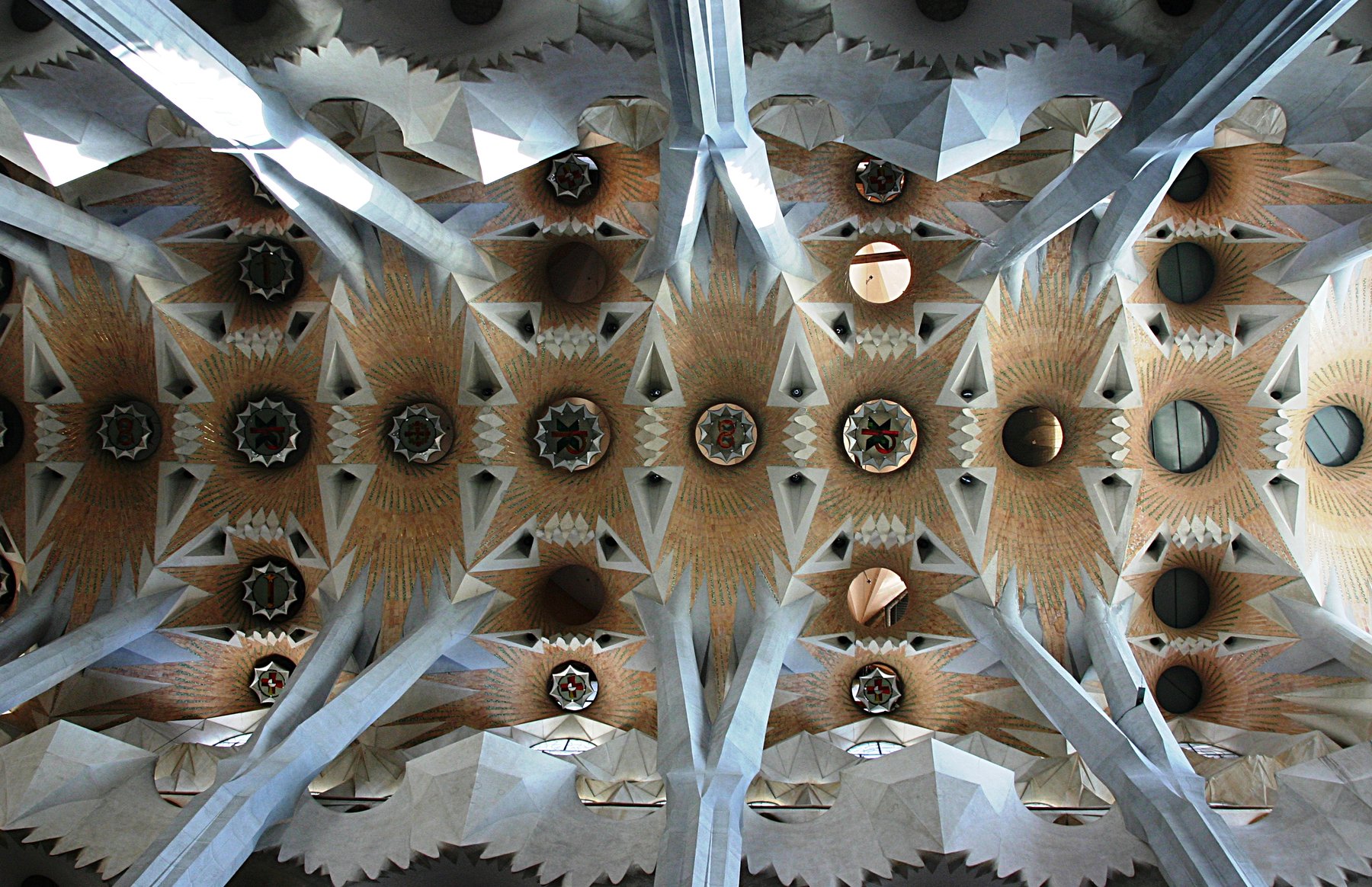 The interior of the Sagrada Familia looking up at the ceiling of the central nave, with stone columns branching like trees into a vaulted canopy of star-shaped openings flooded with natural light.